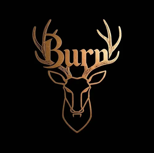 BURN logo